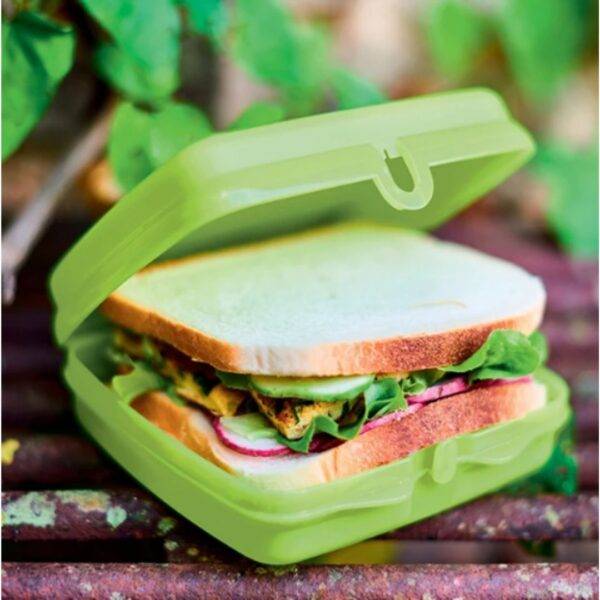 Eco Sandwichdoos groen