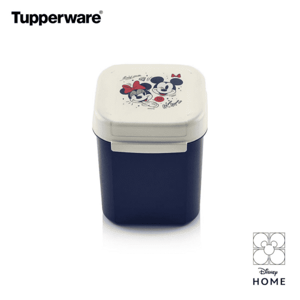 disney tupperware