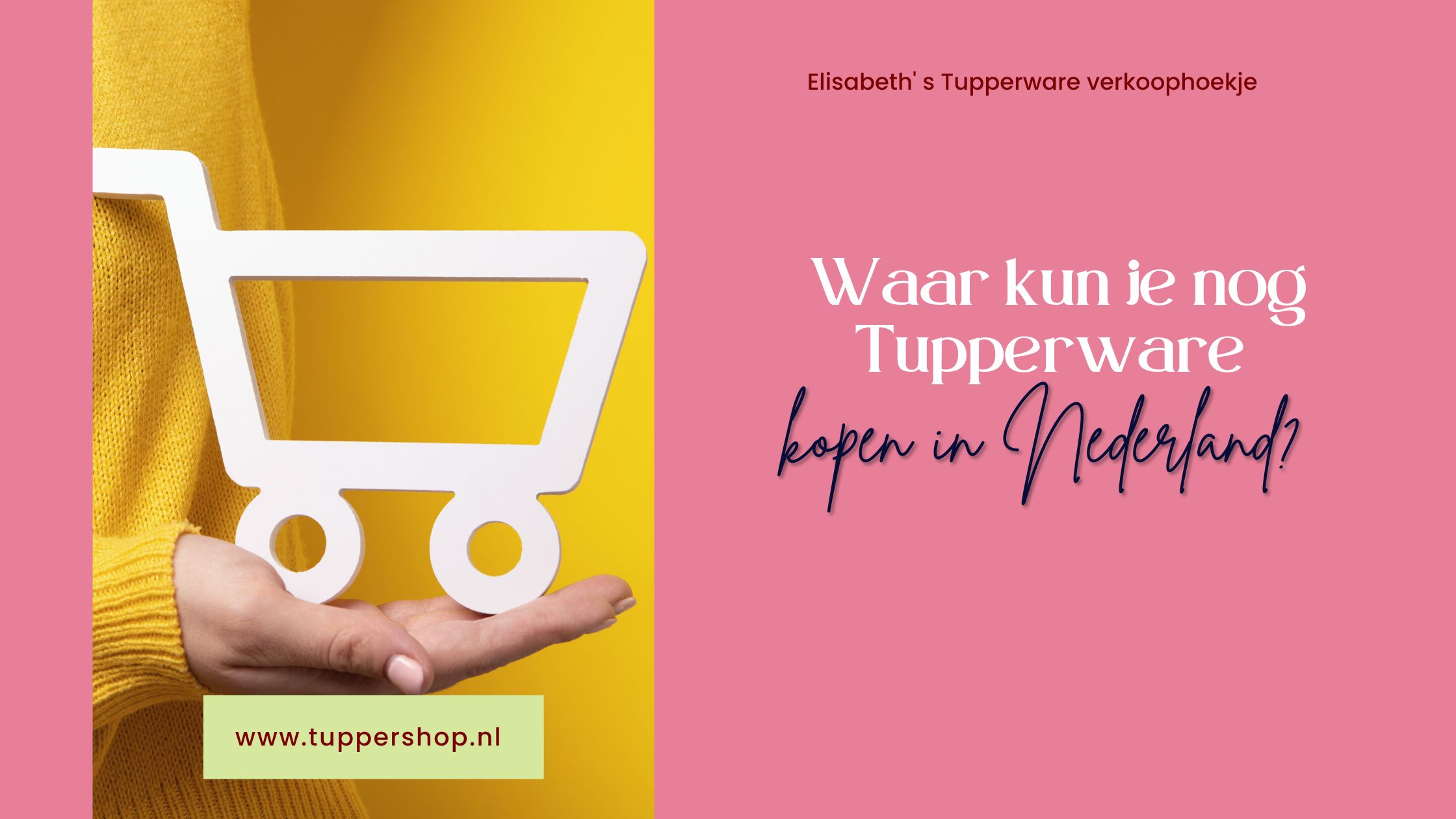 Waar kun je nog Tupperware kopen in Nederland?