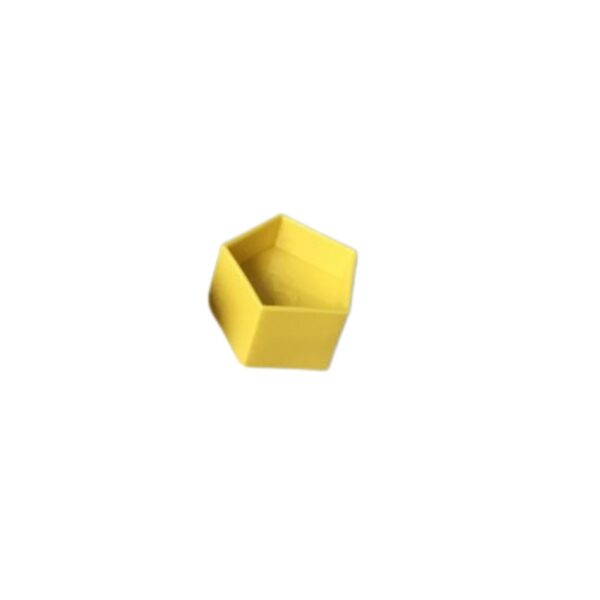 hollebol vorm pentagon