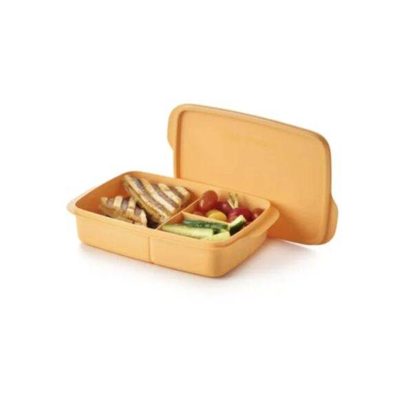 Eco+ Lunchbox met vakjes oranje